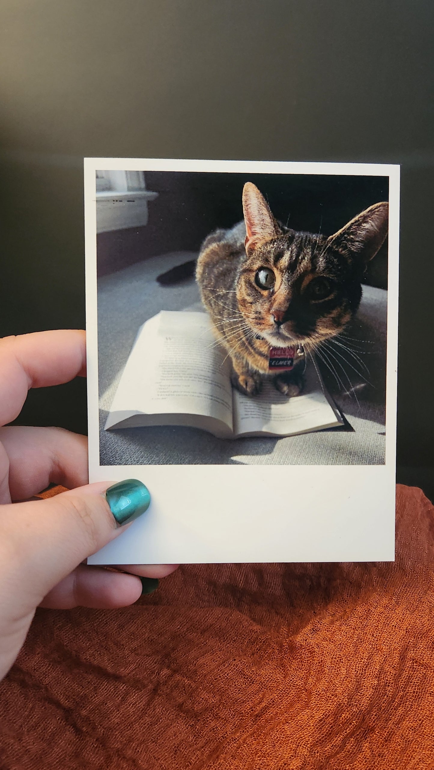 Polaroid Magnets