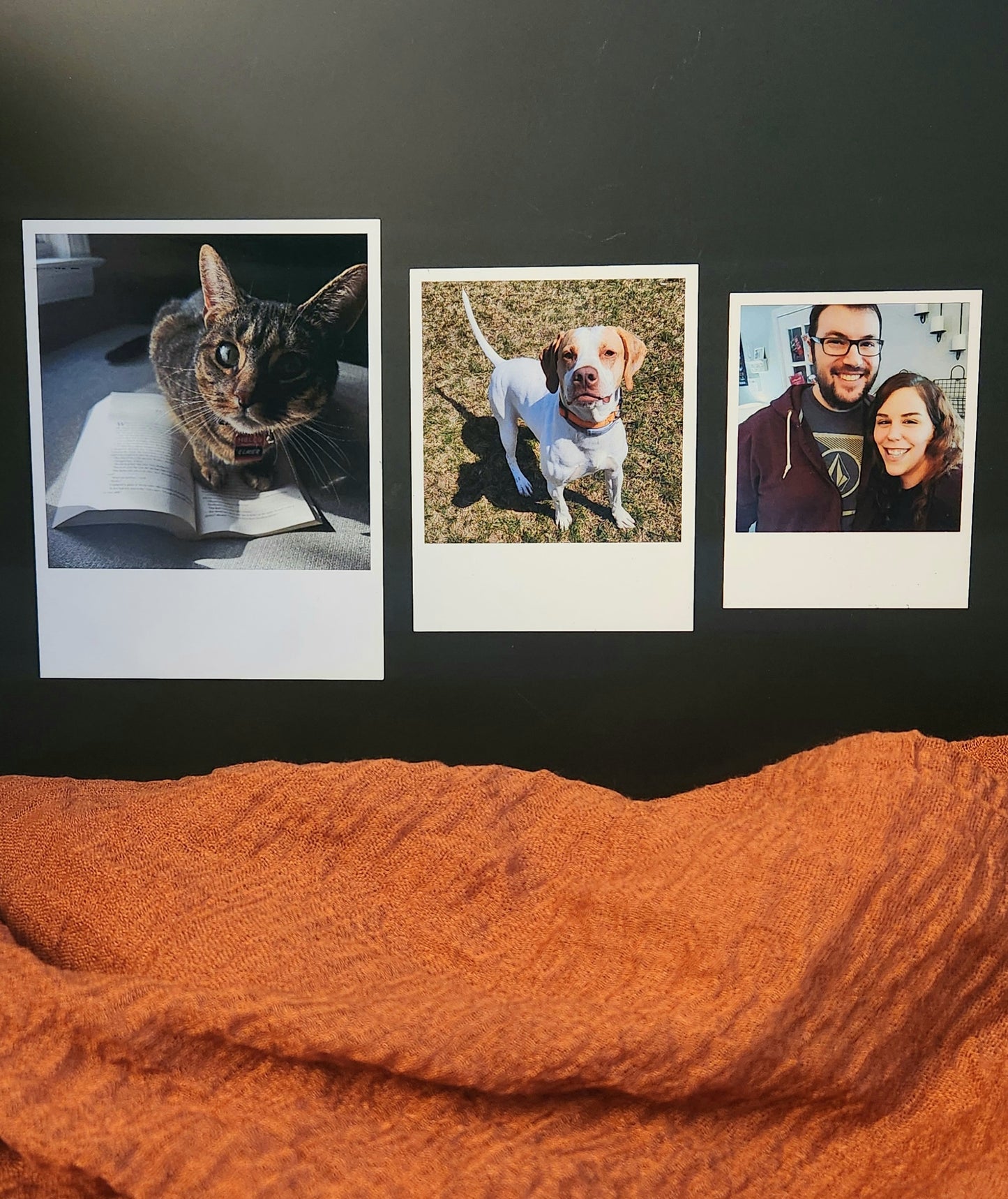 Polaroid Magnets