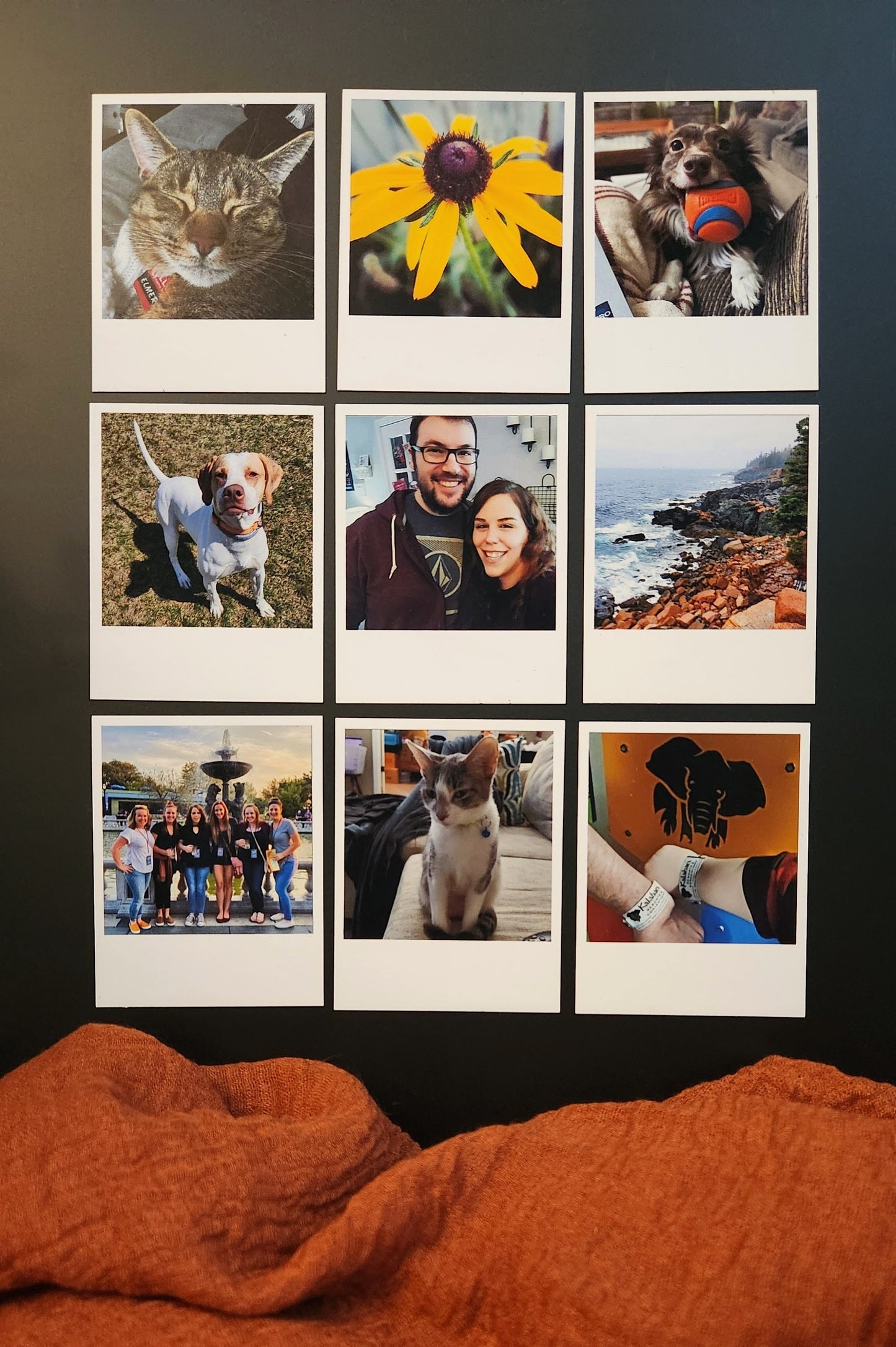 Polaroid Magnets