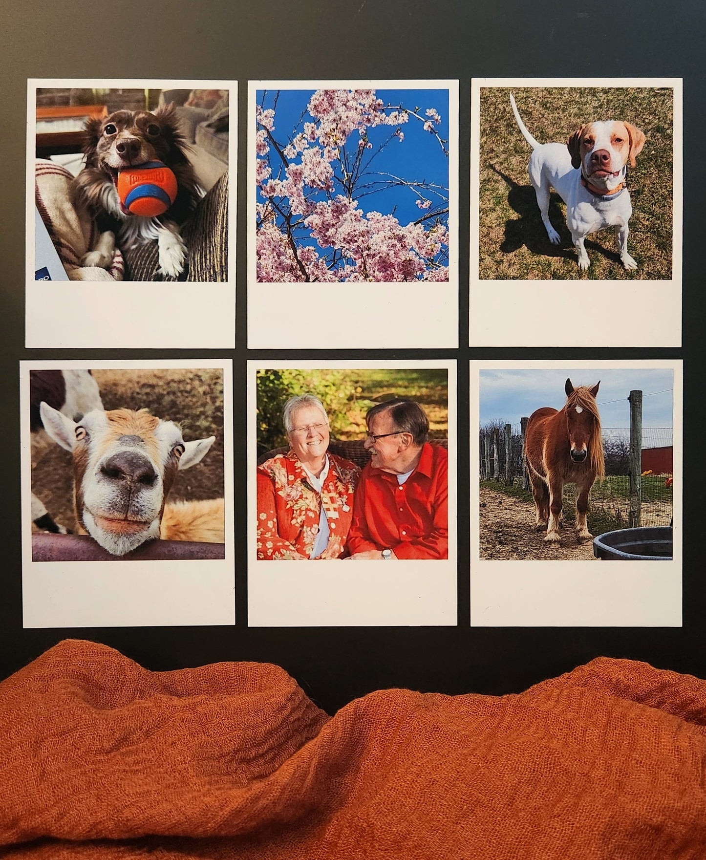 Polaroid Magnets