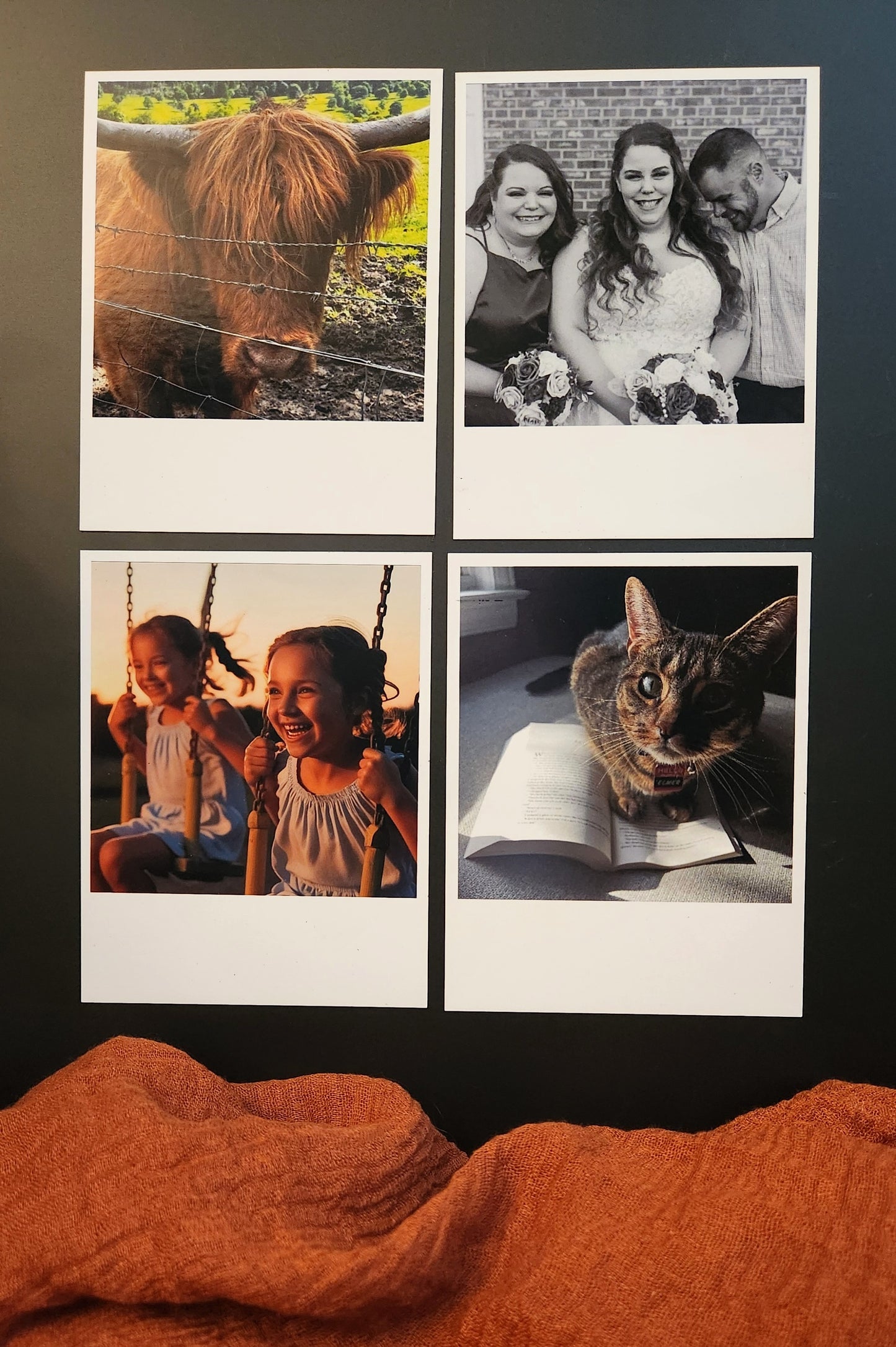 Polaroid Magnets