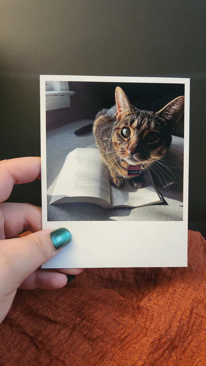 Polaroid Magnets