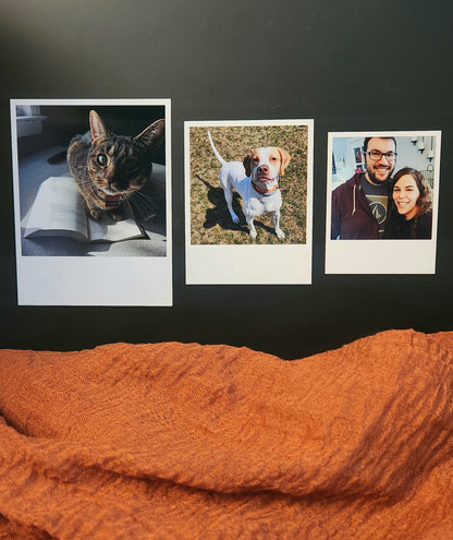 Polaroid Magnets